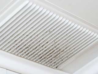 Dealing With Mold In Your Home | Air Duct Cleaning Canyon Country, CA Dealing With Mold In Your Home | Air Duct Cleaning Canyon Country, CA